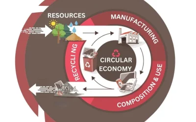 Embracing Sustainability: The Circular Economy Revolution