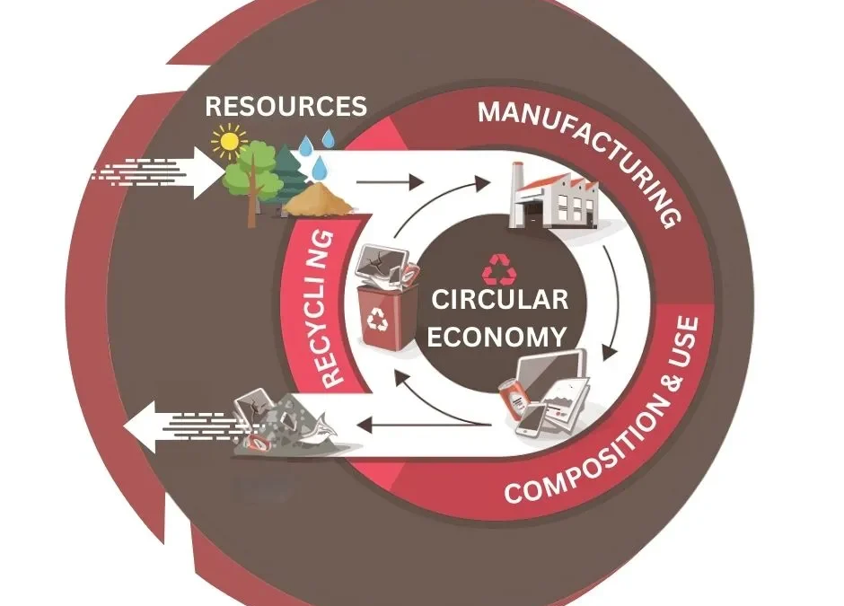 Embracing Sustainability: The Circular Economy Revolution