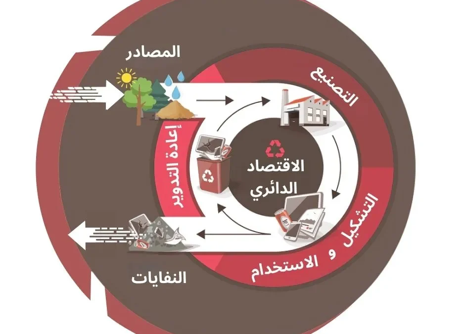 تبني الاستدامة: ثورة الاقتصاد الدائري