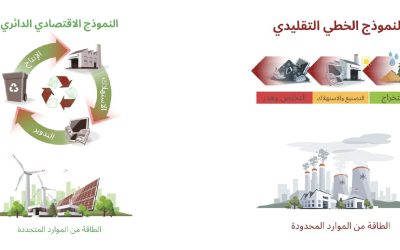 تبني الاستدامة: ثورة الاقتصاد الدائري