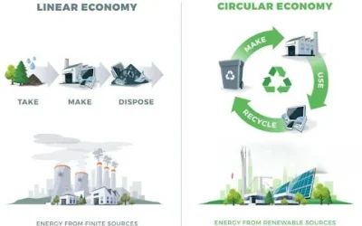 Embracing Sustainability: The Circular Economy Revolution